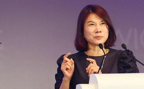 扒爷爆料董明珠视频全集,董明珠视频全集深度解析