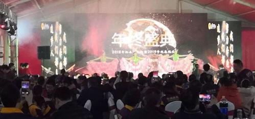 年会爆料视频大全,精彩瞬间一网打尽