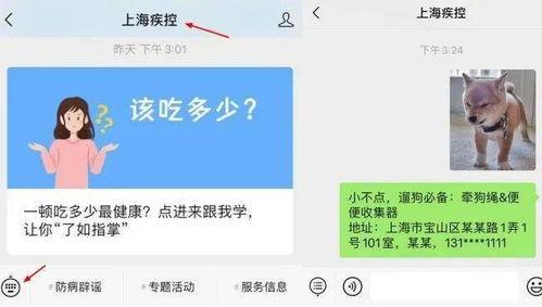 狗子今日爆料最新消息图片,最新热辣图片揭秘幕后真相