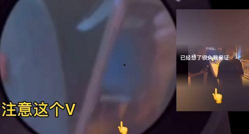 刘耀文粉丝爆料视频大全,精彩瞬间回顾