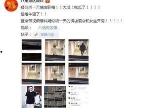 黑料爆料站最新信息网,揭秘娱乐圈最新猛料，真相尽在此处