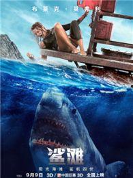 鲨滩完整版在线观看,惊心动魄的生存挑战，在线观看完整版