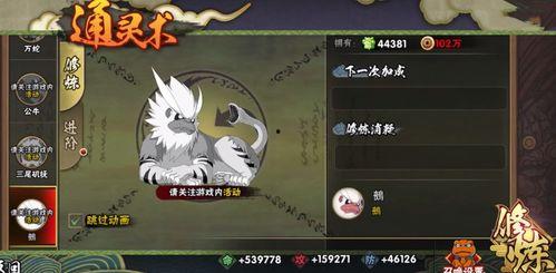 通灵兽技能爆料大全最新,爆料大全深度解析
