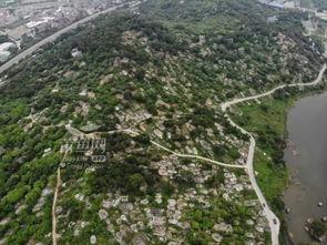 莆田水库爆料视频最新,揭秘水质状况与环保措施