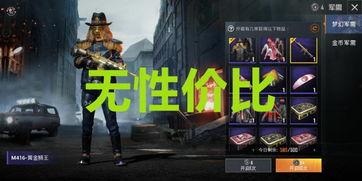 新军需皮肤爆料最新,炫酷造型，等你来战！