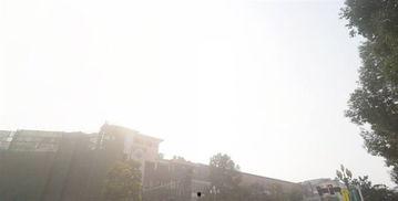 眉山房产爆料信息网最新,最新爆料揭示房价走势与热门楼盘盘点