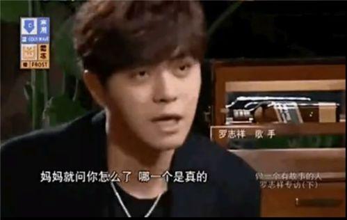 罗志祥老板爆料视频大全