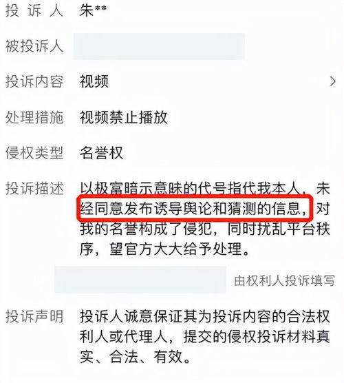 网红产品爆料新闻报道稿,爆款背后的真相与争议