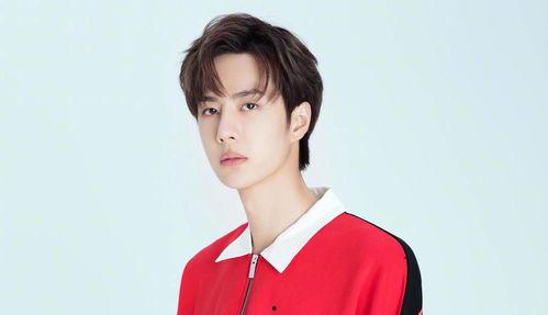 娱乐圈爆料王嘉尔王一博,娱乐圈爆料风云，兄弟情深引热议”